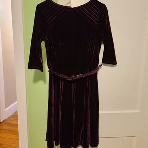 Purple Velvet Skater Dress